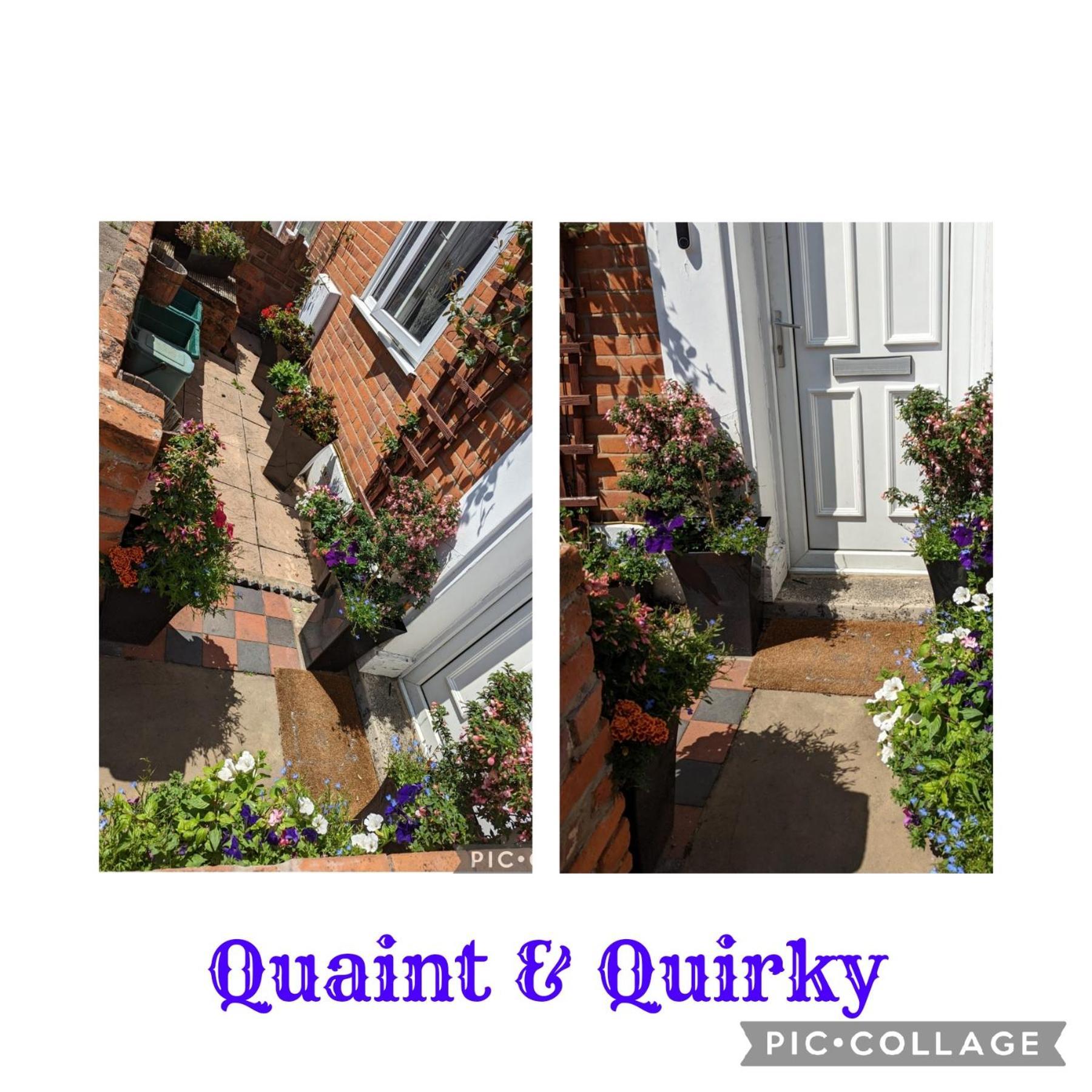 Quaint & Quirky House Colchester Town Centre Exteriér fotografie